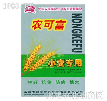 С����(zhu��n)�÷�-�r(n��ng)�ɸ�