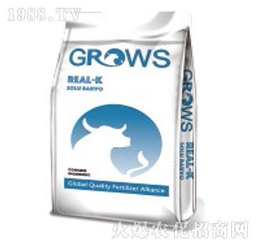 ��������-���_ʩ-��ʢ����