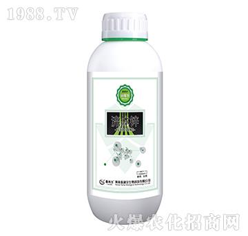 ���w�\-��(r��n)�ژ�-̩����