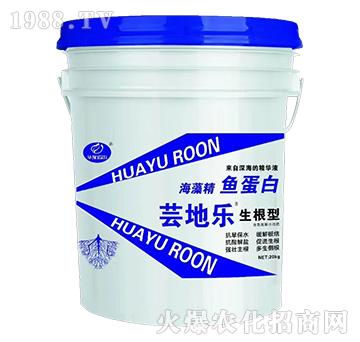 �����ͺ��徫�~����-�|�ؘ�-�Z��