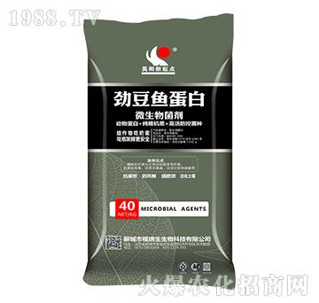 �Ŷ��~(y��)����΢�������-��(y��ng)�����c(di��n)-����