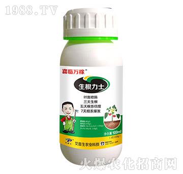 ������ʿ-ϲ�R�f��-������