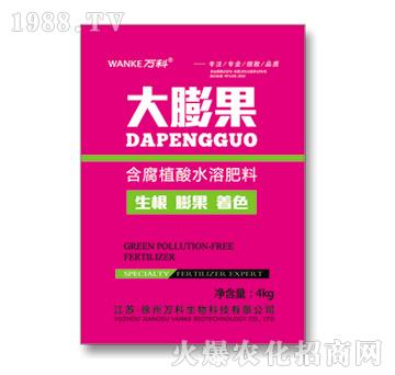 ����ֲ��ˮ�ܷ���-�����-�f��