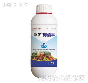 �W��(y��u)�������S-�f(w��n)��