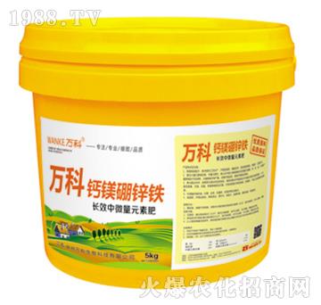 �}�V���\�F-�f��