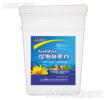 ��~����-Ӣ��