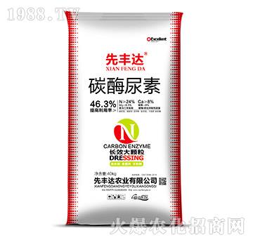 ̼ø����-���S�_(d��)