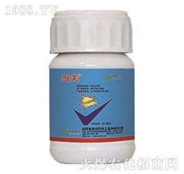 24%�����x����+5%���S����-���P-���r(li��n)��