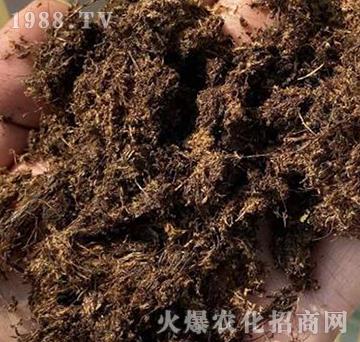 ����PINSTRUP��̿��-����