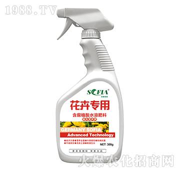 ���܌��ú���ֲ��ˮ�ܷ��ϣ�300g��-���Ɓ�