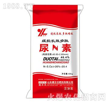 �����L(zh��ng)Ч��������-���-� ���