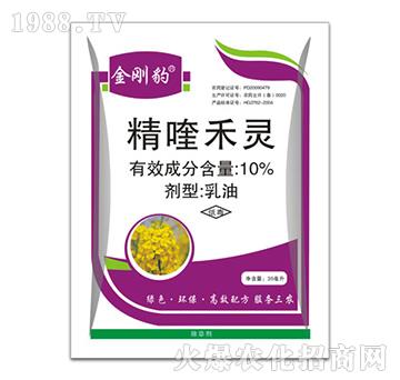 10%��୺��`-������-�ݵ�˹