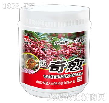 奇愈-農(nóng)圣人