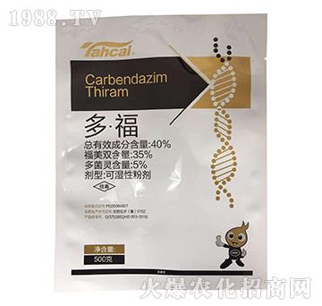 40%�ࡤ��-̩�̻���