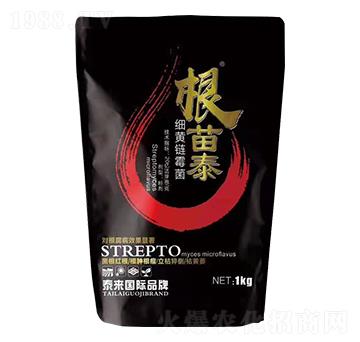 ���S�ù��-����̩-̩���ʘI(y��)