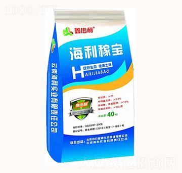 �����ڌ�-������(sh��)�I(y��)