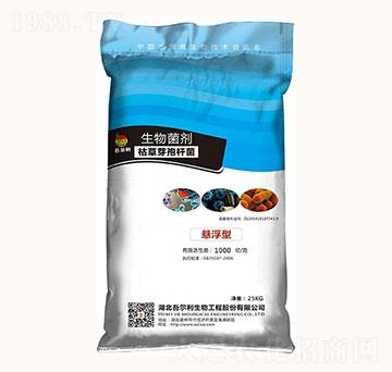 �ݲ�ѿ�ߗU��-�������-�᠖��