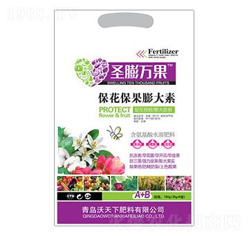 �������������-ʥ���f��-������