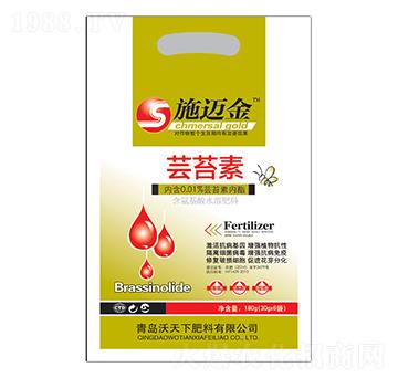 �|̦��-ʩ�~��-������