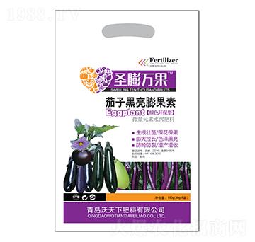 ���Ӻ��������-ʥ���f��-������