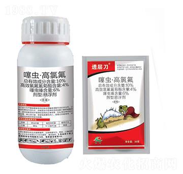 10%���x(ch��ng)�����ȷ�-͸�ӵ�-�����r(n��ng)ˎ