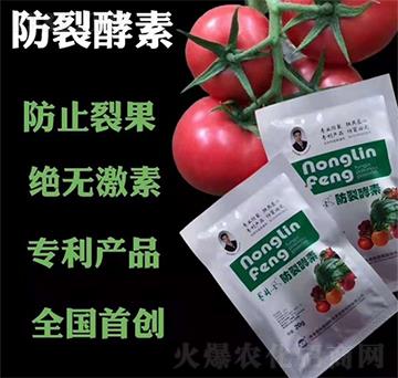 ���ѽ���-�r(n��ng)���L-��S��