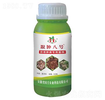 ���[��̖-��������