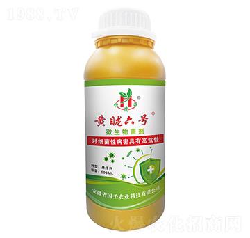 ΢�������-�S����̖-��������