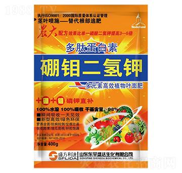 ���ĵ��������f�����-�t�f(w��n)��