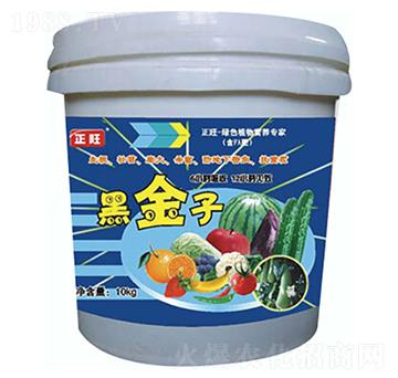 �ڽ���-�����r(n��ng)��