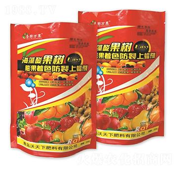 �����������ɫ������Ϟ��-������