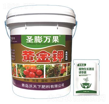 �S���-ʥ���f��-������