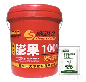 ʩ�~�������-������