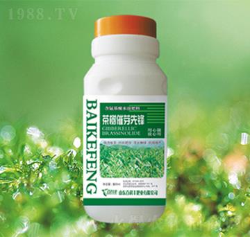 茶樹催芽先鋒-百科豐