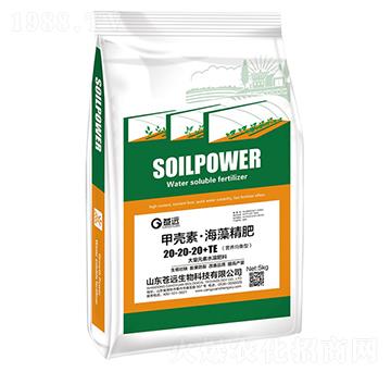 �ך��ء����徫��20-20-20+TE-�n�h(yu��n)����