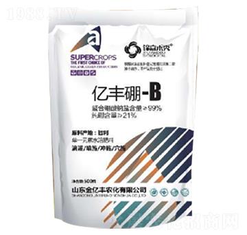 億豐硼-B-金億豐