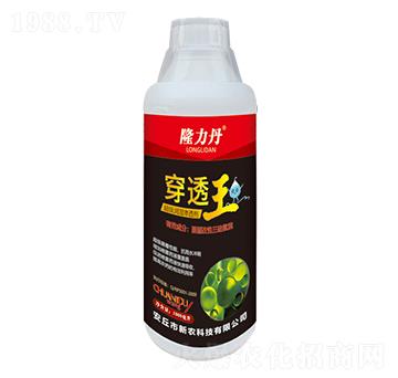 ����(j��)����B͸��-��͸��-���r(n��ng)