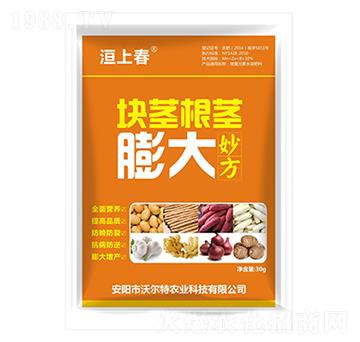 塊莖根莖膨大-沃爾特