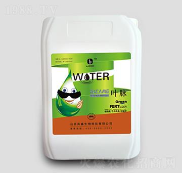 10kgͰ���}�V-�~�}-��������