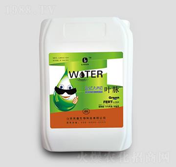 20kgͰ���}�V-�~�}-��������