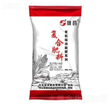 �ЙC����������(f��)�Ϸ���28-11-11-��ȷʘI(y��)