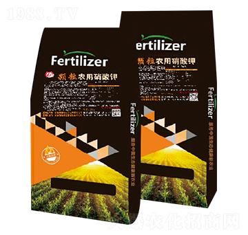 �w���r(n��ng)�������-�W������