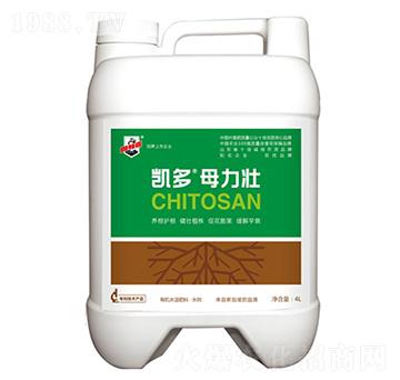 凱多母力壯-固特麗