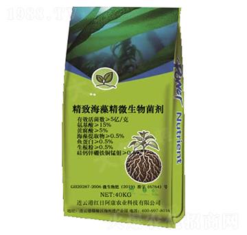 ���º��徫΢�������-�t�հ���