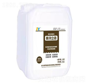 ���������-̩������-̩������