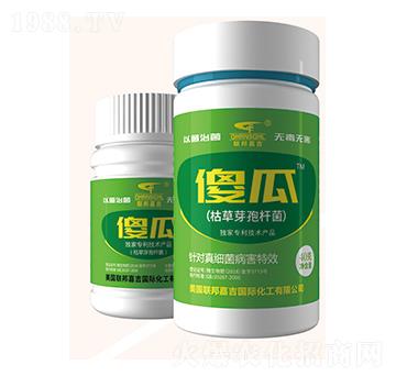 枯草芽孢桿菌-傻瓜-聯(lián)邦嘉吉