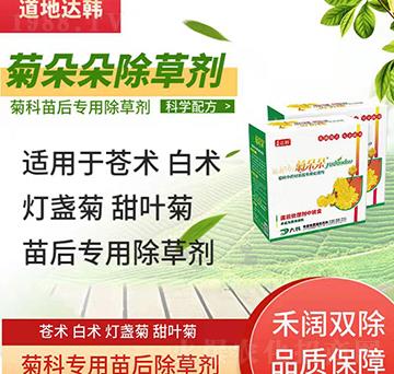 �տƳ��݄�-�տ����-�տƌ���-���n