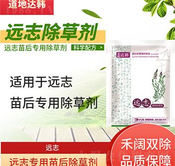 �h־�ݳ��݄�-�h־���-�h־����-���n