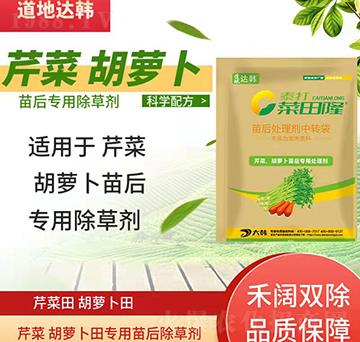 �۲˺��}�����݄�-�۲˺��}�����-�۲˺��}����(zhu��n)��-���n