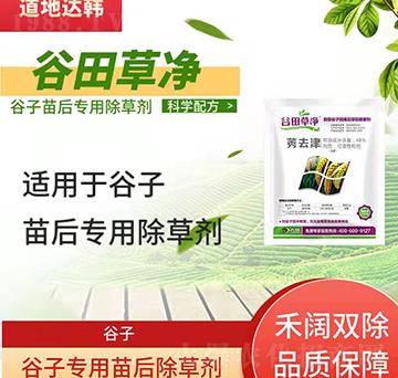 ���ӳ��݄�-�������-���ӌ���-����݃�-���n